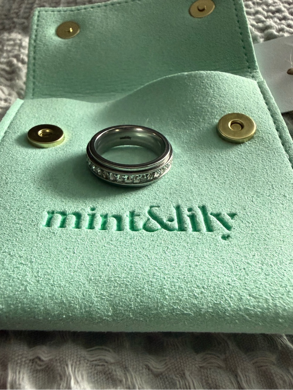 Mint & Lily Silver Spinner Ring - Picture 1 of 2